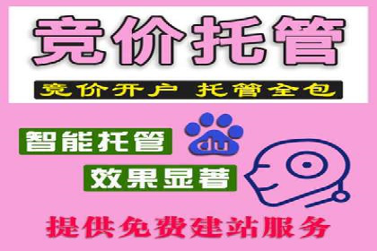 SEM账户竞价策略实战案例分析